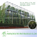 Fornecedor de alibaba china malha de arame para planta em crescimento / parede de malha de arame verde